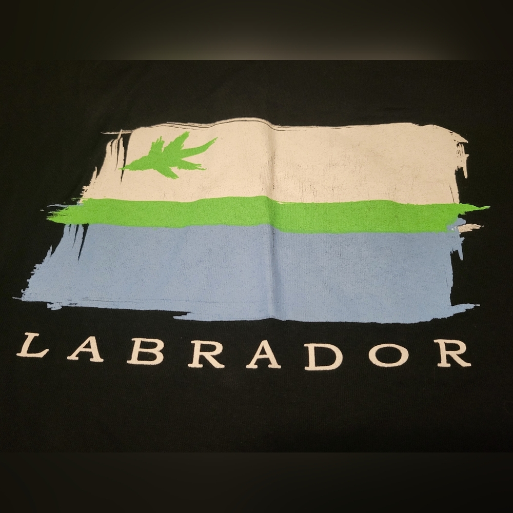 Labrador Flag Men's T-shirt - Picture 3 of 7